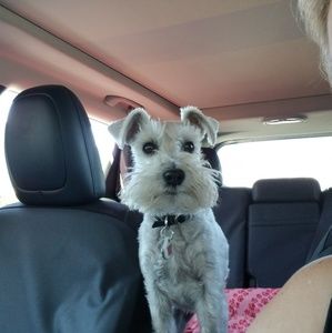 Meet your Posher, Laura